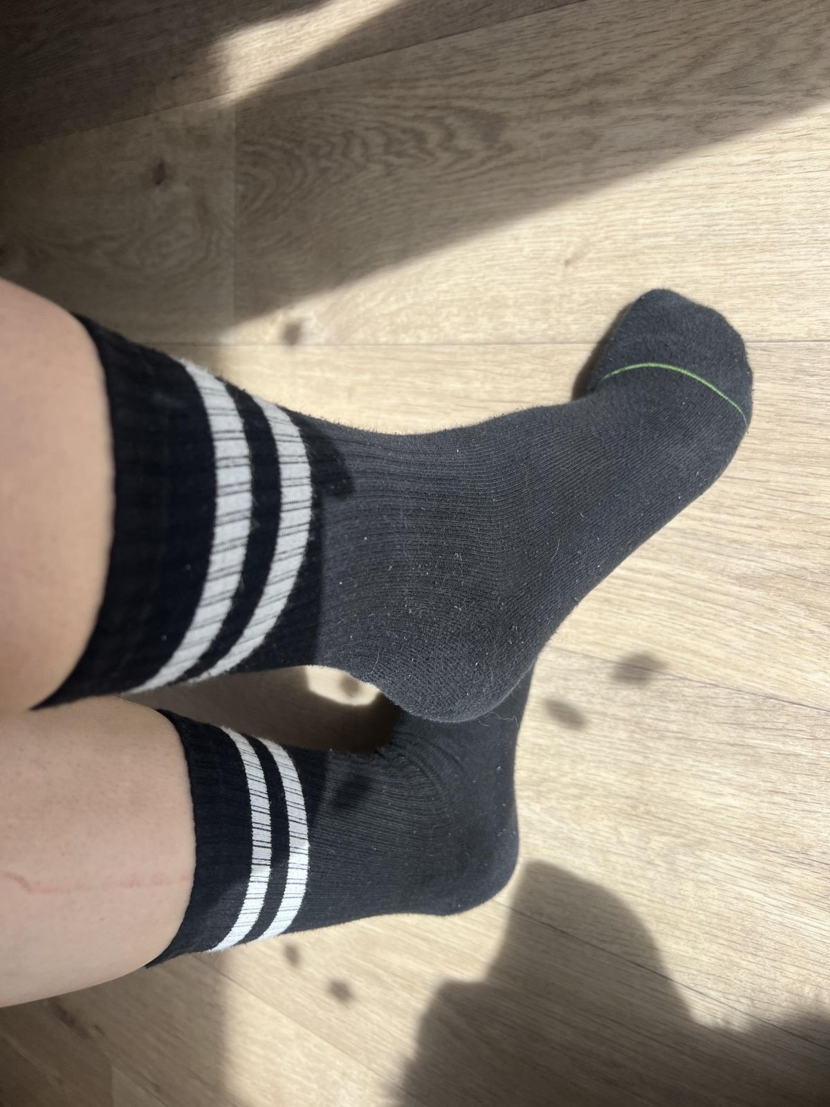 Weiche schwitzige Socken mit Hundehaaren