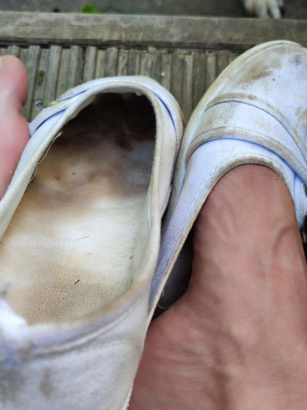 Meine Ballerinas