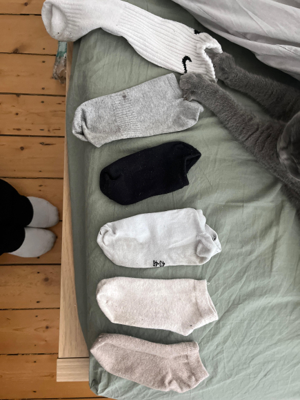 Socken sammlung