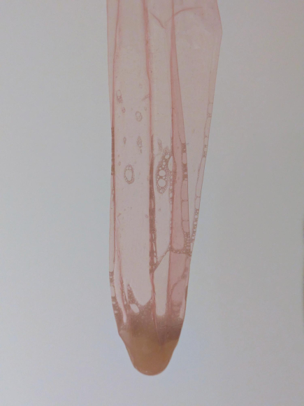 Gefüllte Kondome mit Sperma