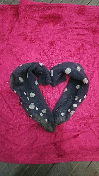 3 Tage getragene Socken auf dem Reitstall